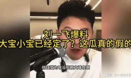 大宝小宝爆料视频,幕后真相大起底