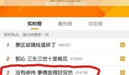 卓伟爆料娱乐圈过年小说,娱乐圈过年风云录