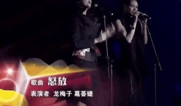 汪峰的前妻爆料视频,揭秘婚姻内幕与情感纠葛